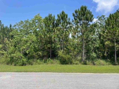 Exceptional Opportunity to Build Your Dream Home in Gulf on Tiger Point Golf and Country Club in Florida - for sale on GolfHomes.com, golf home, golf lot