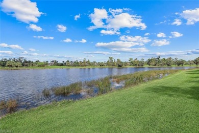 NEW PHOTOS and enhanced decor! Stunning panoramic lake & golf on The Rookery At Marco in Florida - for sale on GolfHomes.com, golf home, golf lot