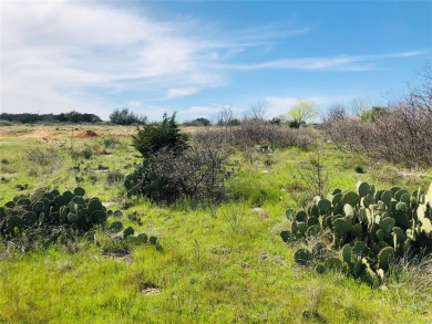 Amazing Golf Course lot with HUGE valley views of the Palo Pinto on The Cliffs Resort in Texas - for sale on GolfHomes.com, golf home, golf lot