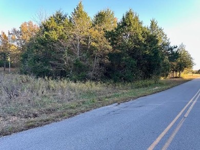 Lake Front property for sale in Arkansas. Here is your on Cedar Glade Golf Course in Arkansas - for sale on GolfHomes.com, golf home, golf lot