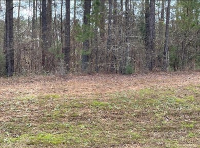 If you are looking for a Homesite in a Golf/Equestrian community on Mount Vintage Plantation and Golf Club  in South Carolina - for sale on GolfHomes.com, golf home, golf lot