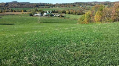 Prime Upstate New York 20-acre lot zoned B-2 Highway Business on Cobleskill Golf and Country Club in New York - for sale on GolfHomes.com, golf home, golf lot