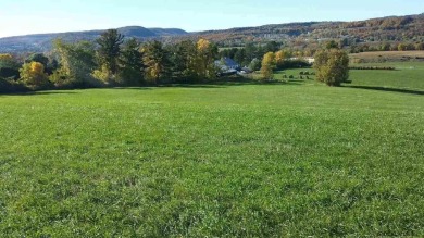 Prime Upstate New York 20-acre lot zoned B-2 Highway Business on Cobleskill Golf and Country Club in New York - for sale on GolfHomes.com, golf home, golf lot