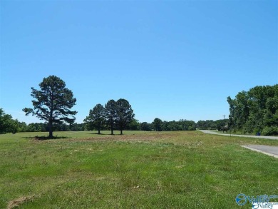 Attention investors & developers! Here is your opportunity to on Twin Lakes Golf Course in Alabama - for sale on GolfHomes.com, golf home, golf lot