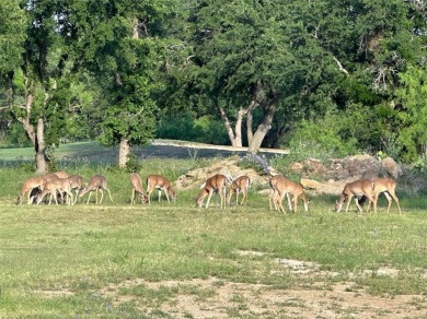 Build your dream home in the heart of Central Texas at this on Hideout Golf Club and Resort  in Texas - for sale on GolfHomes.com, golf home, golf lot
