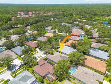 Welcome to your dream home nestled in the heart of New Tampa! As on Hunters Green Country Club in Florida - for sale on GolfHomes.com, golf home, golf lot