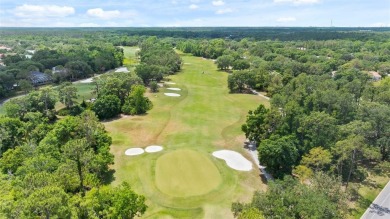 Welcome to your dream home nestled in the heart of New Tampa! As on Hunters Green Country Club in Florida - for sale on GolfHomes.com, golf home, golf lot
