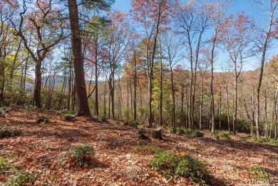 A stunning spec home by a second-generation local custom builder on Sapphire National Golf Club in North Carolina - for sale on GolfHomes.com, golf home, golf lot