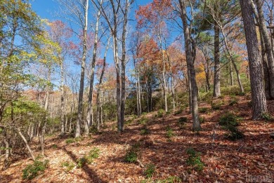 A stunning spec home by a second-generation local custom builder on Sapphire National Golf Club in North Carolina - for sale on GolfHomes.com, golf home, golf lot