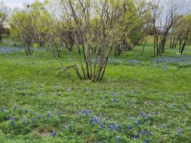 Lot 5048 is so large that the rear of the lot spreads over the 2 on Apple Rock Golf Course - Horseshoe Bay in Texas - for sale on GolfHomes.com, golf home, golf lot