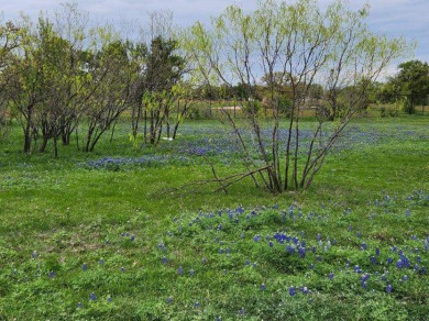Lot 5048 is so large that the rear of the lot spreads over the 2 on Apple Rock Golf Course - Horseshoe Bay in Texas - for sale on GolfHomes.com, golf home, golf lot