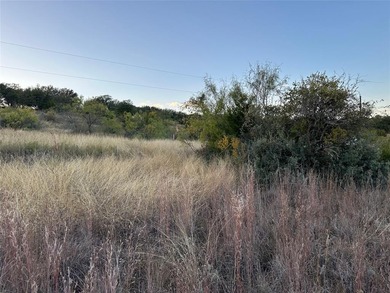 Lot 421 on S Beacon Lane is a great opportunity to own property on Hideout Golf Club and Resort  in Texas - for sale on GolfHomes.com, golf home, golf lot