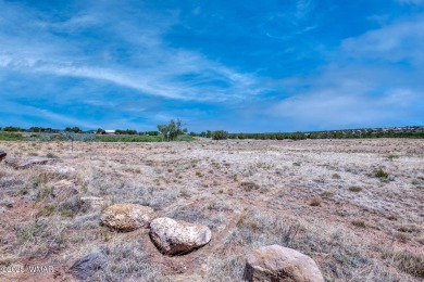 Your very own pond! Absolutely Gorgeous property close to Birdy on Silver Creek Golf Club in Arizona - for sale on GolfHomes.com, golf home, golf lot