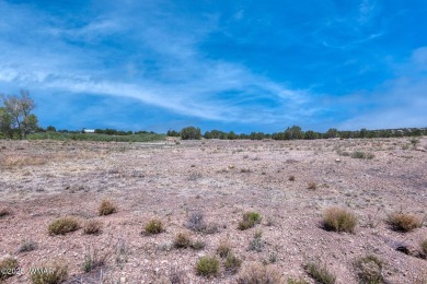 Your very own pond! Absolutely Gorgeous property close to Birdy on Silver Creek Golf Club in Arizona - for sale on GolfHomes.com, golf home, golf lot