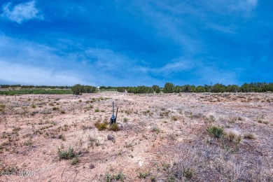 Your very own pond! Absolutely Gorgeous property close to Birdy on Silver Creek Golf Club in Arizona - for sale on GolfHomes.com, golf home, golf lot