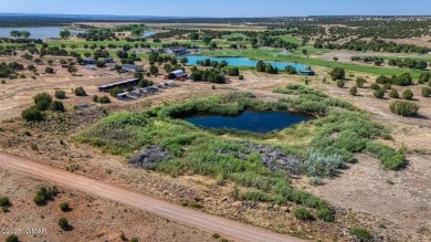 Your very own pond! Absolutely Gorgeous property close to Birdy on Silver Creek Golf Club in Arizona - for sale on GolfHomes.com, golf home, golf lot