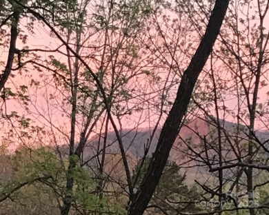 Meticulously maintained, recently updated home with 3 bedrooms + on Rumbling Bald Resort on Lake Lure in North Carolina - for sale on GolfHomes.com, golf home, golf lot