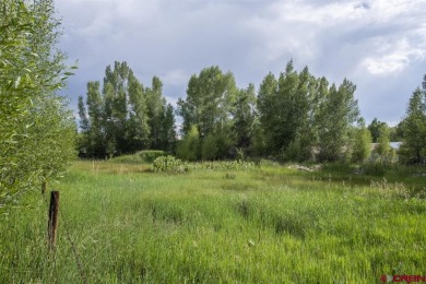 Sigrid Cottrell, Crested Butte Realty Company, C: , sigrid,  : on Dos Rios Golf Course in Colorado - for sale on GolfHomes.com, golf home, golf lot