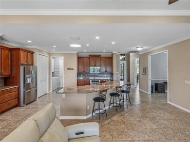 Welcome to your personal haven and next chapter in beautiful on Lake Ashton Golf Club in Florida - for sale on GolfHomes.com, golf home, golf lot