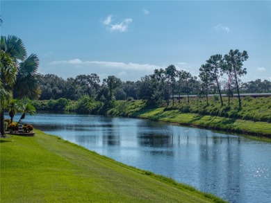 Welcome to your personal haven and next chapter in beautiful on Lake Ashton Golf Club in Florida - for sale on GolfHomes.com, golf home, golf lot