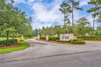 Welcome to Georgia's magnificent coastal river  marsh on Sapelo Hammock Golf Club in Georgia - for sale on GolfHomes.com, golf home, golf lot