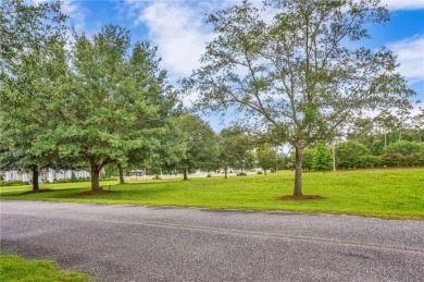 Welcome to Georgia's magnificent coastal river  marsh on Sapelo Hammock Golf Club in Georgia - for sale on GolfHomes.com, golf home, golf lot