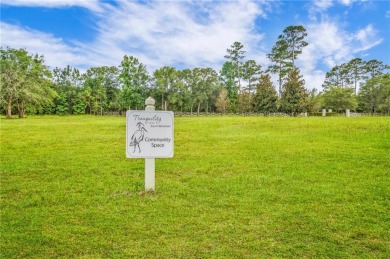 Welcome to Georgia's magnificent coastal river  marsh on Sapelo Hammock Golf Club in Georgia - for sale on GolfHomes.com, golf home, golf lot