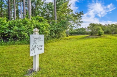 Welcome to Georgia's magnificent coastal river  marsh on Sapelo Hammock Golf Club in Georgia - for sale on GolfHomes.com, golf home, golf lot