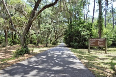 Welcome to Georgia's magnificent coastal river  marsh on Sapelo Hammock Golf Club in Georgia - for sale on GolfHomes.com, golf home, golf lot