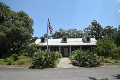 Welcome to Georgia's magnificent coastal river  marsh on Sapelo Hammock Golf Club in Georgia - for sale on GolfHomes.com, golf home, golf lot