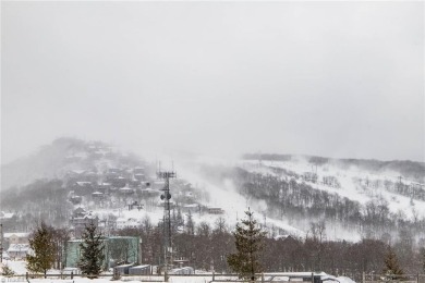 Enjoy ski slope views from this updated, turnkey two bedroom on Beech Mountain Club in North Carolina - for sale on GolfHomes.com, golf home, golf lot