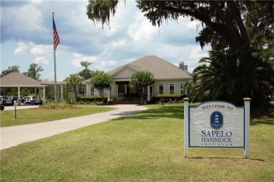 Welcome to Georgia's magnificent coastal river  marsh on Sapelo Hammock Golf Club in Georgia - for sale on GolfHomes.com, golf home, golf lot