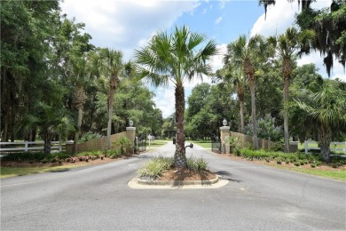 Welcome to Georgia's magnificent coastal river  marsh on Sapelo Hammock Golf Club in Georgia - for sale on GolfHomes.com, golf home, golf lot
