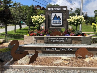 Enjoy ski slope views from this updated, turnkey two bedroom on Beech Mountain Club in North Carolina - for sale on GolfHomes.com, golf home, golf lot