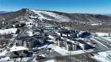 Enjoy ski slope views from this updated, turnkey two bedroom on Beech Mountain Club in North Carolina - for sale on GolfHomes.com, golf home, golf lot