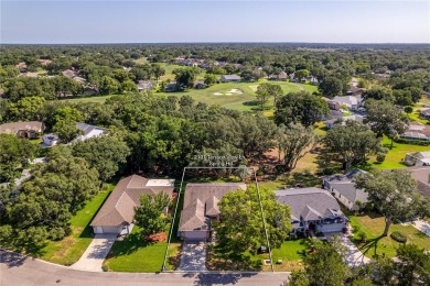 Discover the perfect blend of charm in this furnished Victoria on Timber Pines Golf Course in Florida - for sale on GolfHomes.com, golf home, golf lot