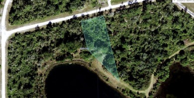 Come build your forever home or multi-family unit on this on Indian Lake Estates Golf and Country Club in Florida - for sale on GolfHomes.com, golf home, golf lot