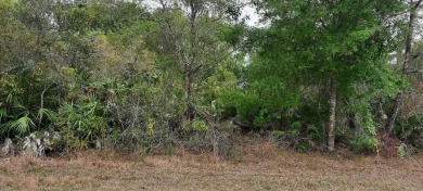 Come build your forever home or multi-family unit on this on Indian Lake Estates Golf and Country Club in Florida - for sale on GolfHomes.com, golf home, golf lot