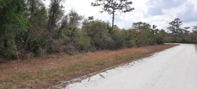 Come build your forever home or multi-family unit on this on Indian Lake Estates Golf and Country Club in Florida - for sale on GolfHomes.com, golf home, golf lot