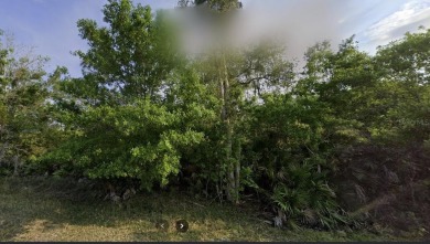 Come build your forever home or multi-family unit on this on Indian Lake Estates Golf and Country Club in Florida - for sale on GolfHomes.com, golf home, golf lot