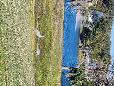 **!!**DO NOT MISS THIS GOLF COURSE HOME **!!**OWNER IS MOTIVATED on Summerglen Country Club in Florida - for sale on GolfHomes.com, golf home, golf lot