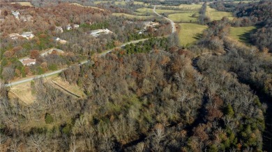 Imagine your dream property: A large building site featuring a on Bella Vista Country Club - Scottsdale in Arkansas - for sale on GolfHomes.com, golf home, golf lot