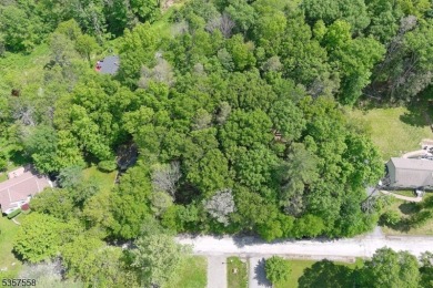 Great opportunity to develop this lot.  Located in High Point on High Point Golf Club in New Jersey - for sale on GolfHomes.com, golf home, golf lot