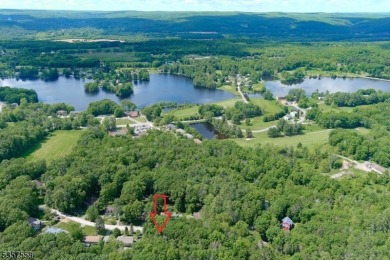 Great opportunity to develop this lot.  Located in High Point on High Point Golf Club in New Jersey - for sale on GolfHomes.com, golf home, golf lot