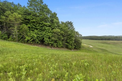 Seize the opportunity to create your perfect home on a stunning on Champion Hill Golf Club in Michigan - for sale on GolfHomes.com, golf home, golf lot