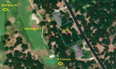 Rarely do golf course lots on an established, highly rated Texas on Links At Lands End in Texas - for sale on GolfHomes.com, golf home, golf lot