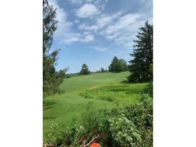 A dream location to build a home with all  utilities.  Private on Soaring Eagles Golf Course/Mark Twain State Park in New York - for sale on GolfHomes.com, golf home, golf lot