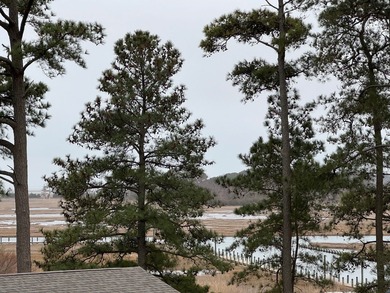 Beautiful elevated home. Recently and completely remodeled. Some on Captains Cove Golf and Yacht Club in Virginia - for sale on GolfHomes.com, golf home, golf lot