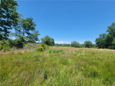 Excellent opportunity to own 2 parcels of land totalling 111 on Pepperidge Tree Golf Course in Ohio - for sale on GolfHomes.com, golf home, golf lot