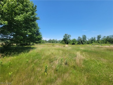 Excellent opportunity to own 2 parcels of land totalling 111 on Pepperidge Tree Golf Course in Ohio - for sale on GolfHomes.com, golf home, golf lot